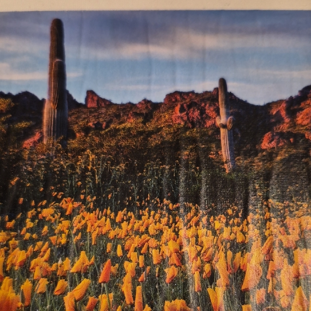 Vibrant Orange Flower Field Canvas Art - Picture 2 of 4